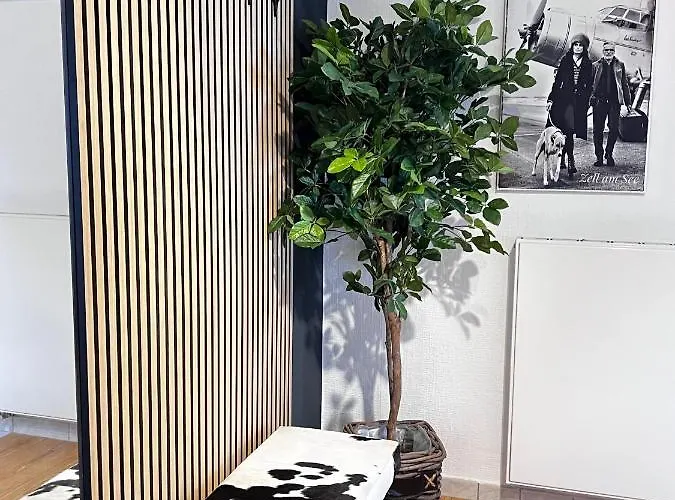 4 Season * 滨湖采尔